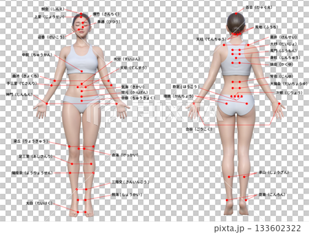 体のツボ 日本人3Dモデル女性の図解イラスト 全身正面 後ろ姿のセット 体のツボ 日本人3Dモデル女性の図解イラスト 全身正面 後ろ姿のセット 133602322