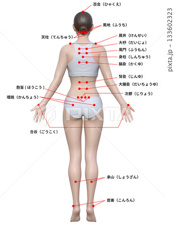 体の後ろ姿 背中のツボ 反射区  日本人3Dモデル女性の図解イラスト 全身後ろ姿 133602323