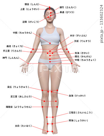 体のツボ 反射区 日本人3Dモデル女性の図解イラスト 全身正面 133602324