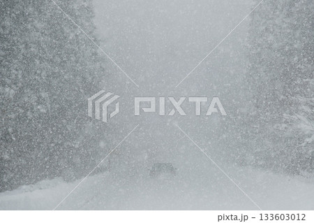 豪雪で視界がゼロに近いくらいの雪道 豪雪で視界がゼロに近いくらいの雪道 133603012