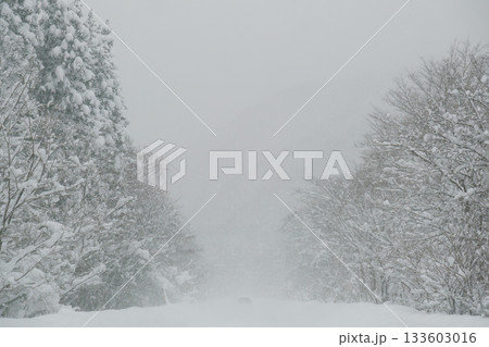 豪雪で視界がゼロに近いくらいの雪道 豪雪で視界がゼロに近いくらいの雪道 133603016