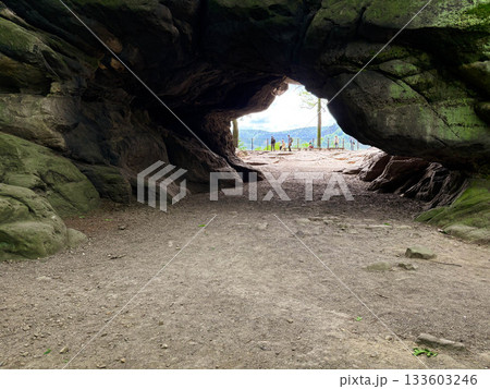 cave in the mountains. forest in the rocks with a cave cave in the mountains. forest in the rocks with a cave 133603246