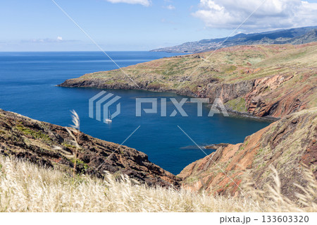 Rugged volcanic shore at Sao Lourenco curves around calm water with sailboat and grass 133603320