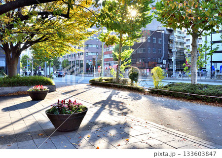 夕方の日差しが差し込む都内の公園入口 夕方の日差しが差し込む都内の公園入口 133603847