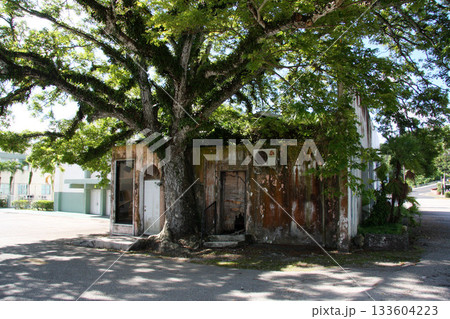 グアム　ハガニア 133604223