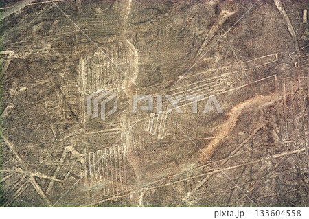 ナスカの地上絵　ペリカン 133604558