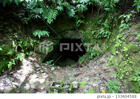 グアム　南太平洋戦争戦没者慰霊公園　防空壕 133604588