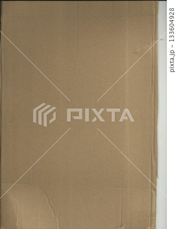Corrugated cardboard sheet is lying on flat white backing in flat design, showing folds and tear 133604928