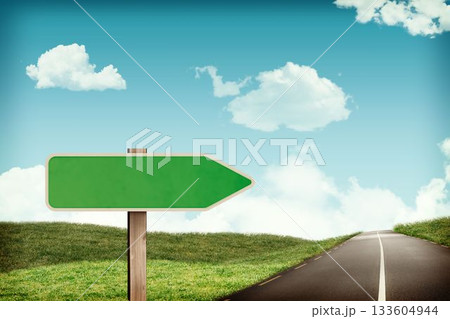 Green directional arrow sign is being shown with road curving through grass hills in flat design 133604944