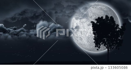 Moon shining behind a tree and clouds 133605086