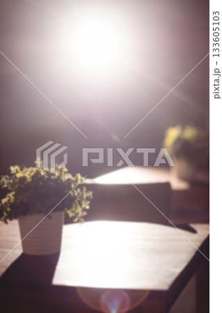 Potted plant on table against light 133605103