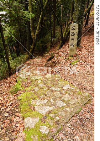 落ち葉散り敷く奥千本西行庵への路 133605371