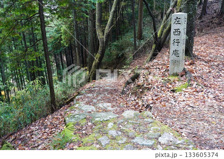 落ち葉散り敷く奥千本西行庵への路 133605374