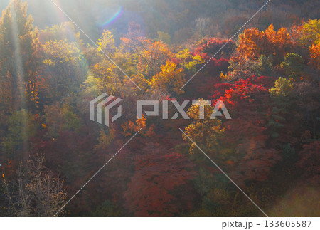 南山ロープーウエイから観た秋の風景 南山ロープーウエイから観た秋の風景 133605587