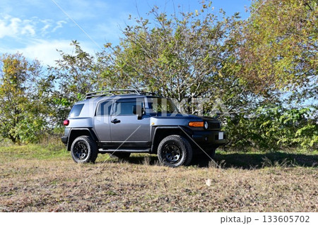 TOYOTA FJ Cruiser TOYOTA FJ Cruiser 133605702