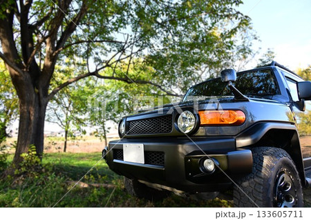 TOYOTA FJ Cruiser TOYOTA FJ Cruiser 133605711