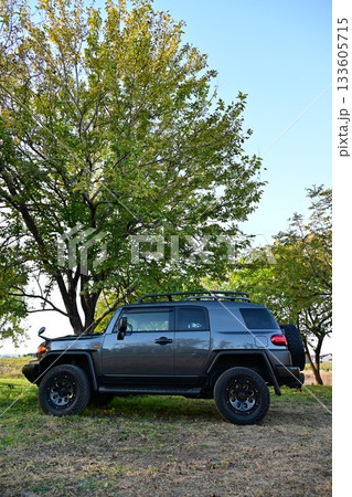 TOYOTA FJ Cruiser TOYOTA FJ Cruiser 133605715