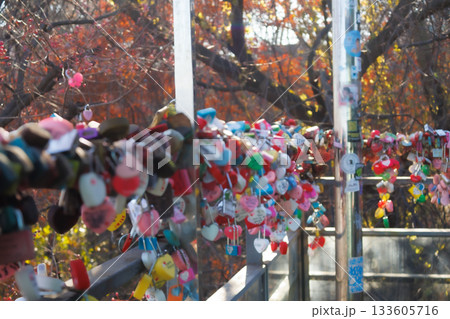 南山公園の通路にギッシリ付けられた恋人たちの誓い 南山公園の通路にギッシリ付けられた恋人たちの誓い 133605716