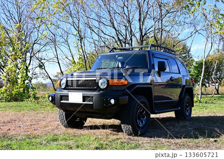 TOYOTA FJ Cruiser TOYOTA FJ Cruiser 133605721