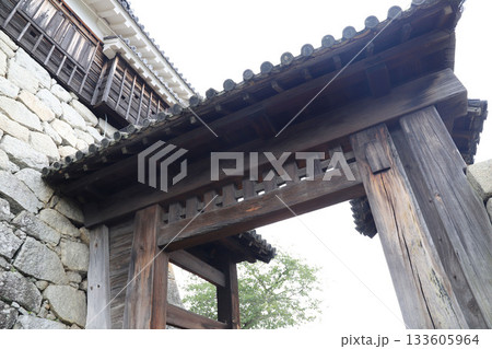 松山城 愛媛県 松山城 愛媛県 133605964