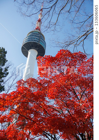 南山公園の頂上付近から見上げた美し南山いソウルタワー 133606065