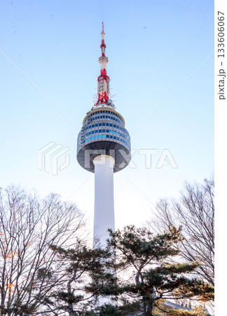 南山公園の頂上付近から見上げた美し南山いソウルタワー 南山公園の頂上付近から見上げた美し南山いソウルタワー 133606067