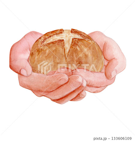 Hands gently holding a round sourdough bread. Hand-painted watercolor isolated on white. Premium clip art isolated on white, perfect for bakery branding, packaging, recipes, and artisan food projects 133606109