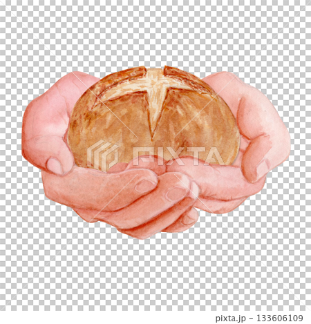 Hands gently holding a round sourdough bread. Hand-painted watercolor isolated on white. Premium clip art isolated on white, perfect for bakery branding, packaging, recipes, and artisan food projects 133606109