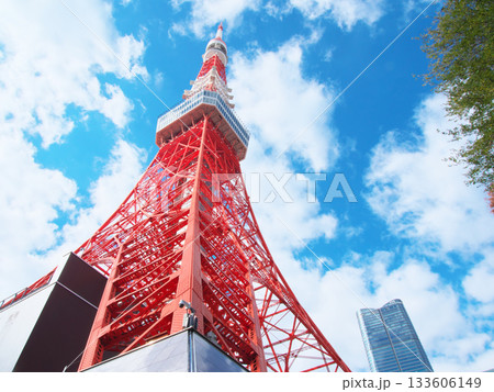 東京タワーと麻布台ヒルズ　 都市景観（2025年11月） 133606149