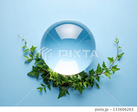 ガラス玉と支える植物 133606263