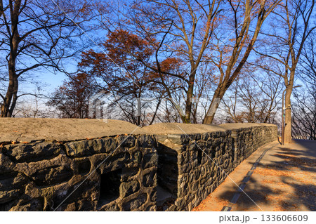 韓国のソウルの南山公園の秋の紅葉シーズンの風景 韓国のソウルの南山公園の秋の紅葉シーズンの風景 133606609