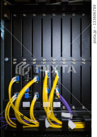 Rack-mounted network panel is showing yellow and purple fiber cables, LED indicators in flat design Rack-mounted network panel is showing yellow and purple fiber cables, LED indicators in flat design 133606789