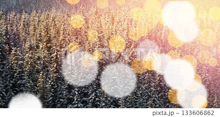 Pine trees on during winter 133606862