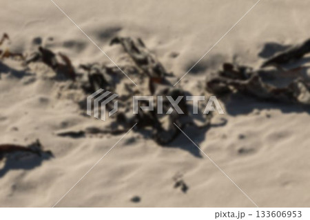 Close-up of sand on beach 133606953