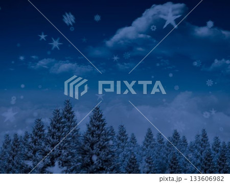 Digitally generated Night sky over forest 133606982