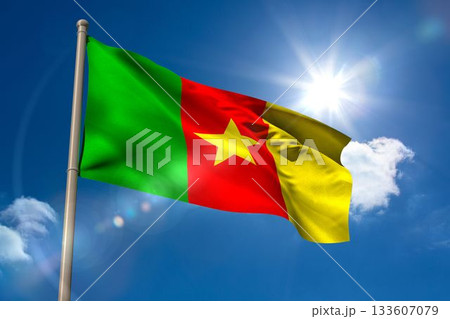 Cameroon national flag on blue sky background 133607079