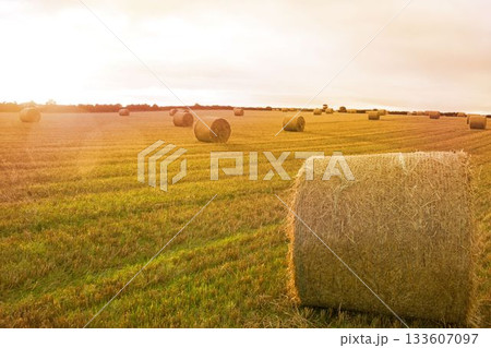 Landscape with bales of straw 133607097