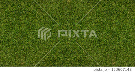 Continuous carpet of green grass blades is covering flat area in flat design, showing even texture Continuous carpet of green grass blades is covering flat area in flat design, showing even texture 133607148