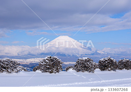 雪と富士山 133607268