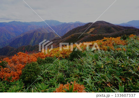 二王子岳山頂からの二本木山と大日岳 133607337