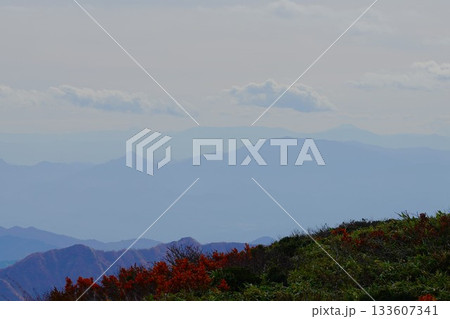 二王子岳山頂からの日光白根山・会津駒ヶ岳・燧ヶ岳 二王子岳山頂からの日光白根山・会津駒ヶ岳・燧ヶ岳 133607341