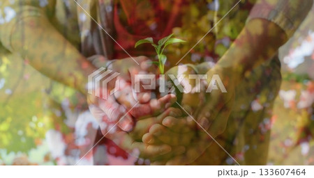 Cupping mother and son hands holding soil with small green seedling sprout in garden 133607464