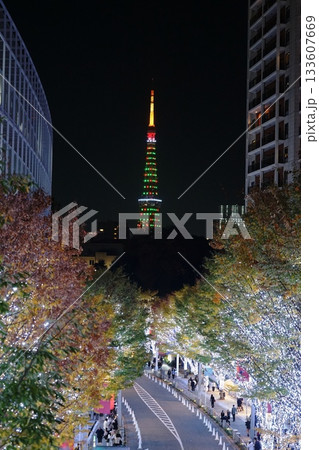 ✕マスツリー色の東京タワーとけやき坂イルミネーション　11月港区2272✕マスツリー色の東京タワー 133607669