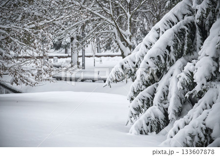 Snow-covered park scene with benches and trees in a winter wonderland 133607878
