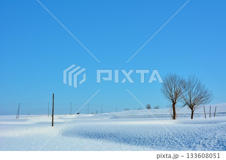 雪峠冬景色 雪峠冬景色 133608051