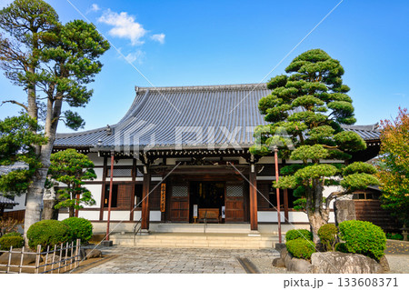 東京都港区 大本山永平寺別院 長谷寺(ちょうこくじ) 法堂(はっとう) 東京都港区 大本山永平寺別院 長谷寺(ちょうこくじ) 法堂(はっとう) 133608371