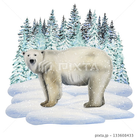 Hand drawn winter scene featuring white bear in a snowy forest. Watercolor illustration. Hand drawn winter scene featuring white bear in a snowy forest. Watercolor illustration. 133608433