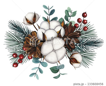 Hand drawn Christmas bouquet with cotton, fir cone, eacalyptus, spruce branches, red berries. Watercolor illustration. 133608456