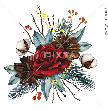 Hand drawn Christmas bouquet with red rose, fir cnes, cotton, spruce branches, and red berries. Watercolor illustration. 133608462