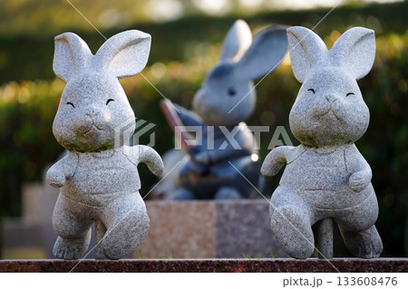 うさぎのかけっこ　(島根県出雲大社) 133608476